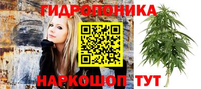 дистиллят марихуана Будённовск