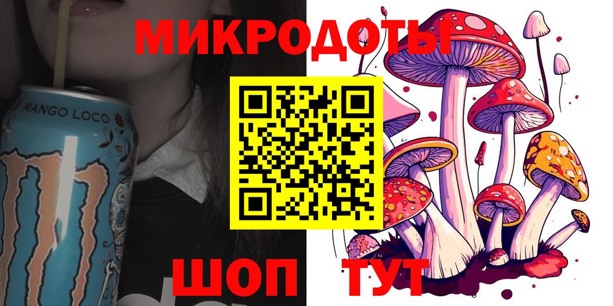 Псилоцибиновые грибы Psilocybe  Галлюциногенные грибы Psilocybe  Темрюк 
